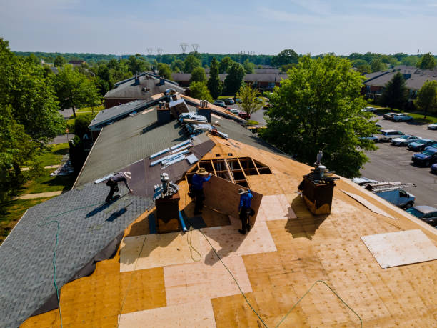 Trusted Storm Damage Roof Repair service in Hollins, VA - Brentwood Metal Roofing